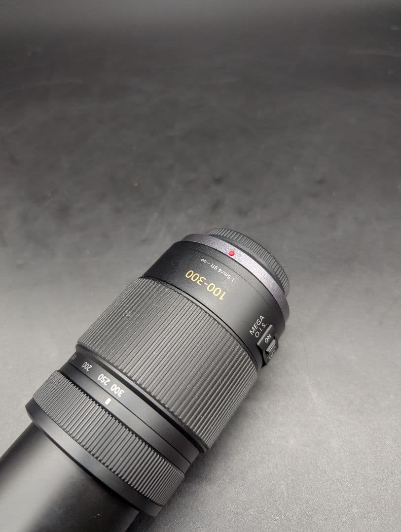 【美品・動作良好】Panasonic　LUMIX　H-FS100300