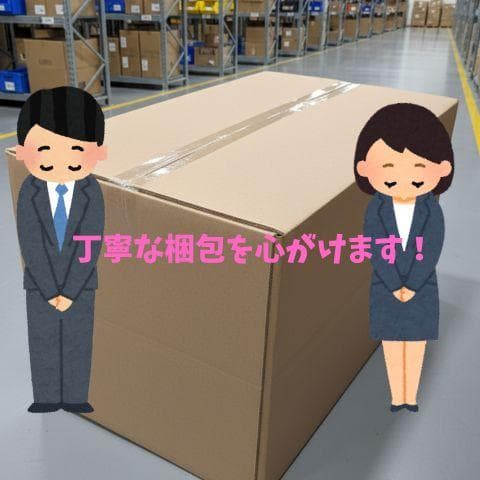 ELECAENTA ポータブル電源 99Wh 小型 リン酸鉄 軽量1.5Kg *