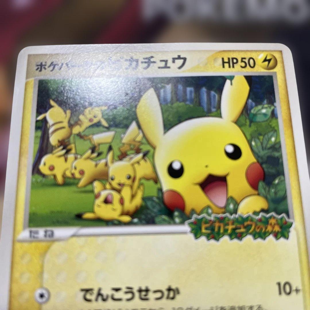 う*る様 マスクド・ピカチュウ　ポケパークのピカチュウ　マスクドピカチュウ　セッ