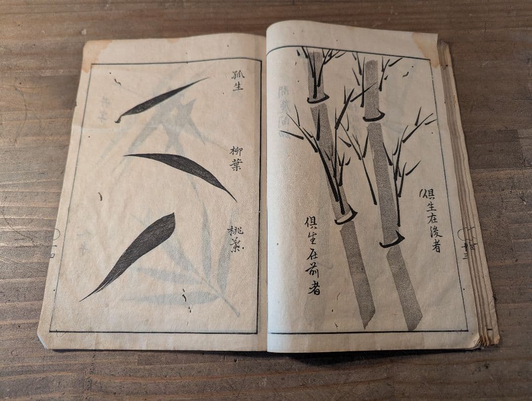 墨竹指南　寛政十一年版　古典水墨画 竹の絵集　古書　古文書　和本