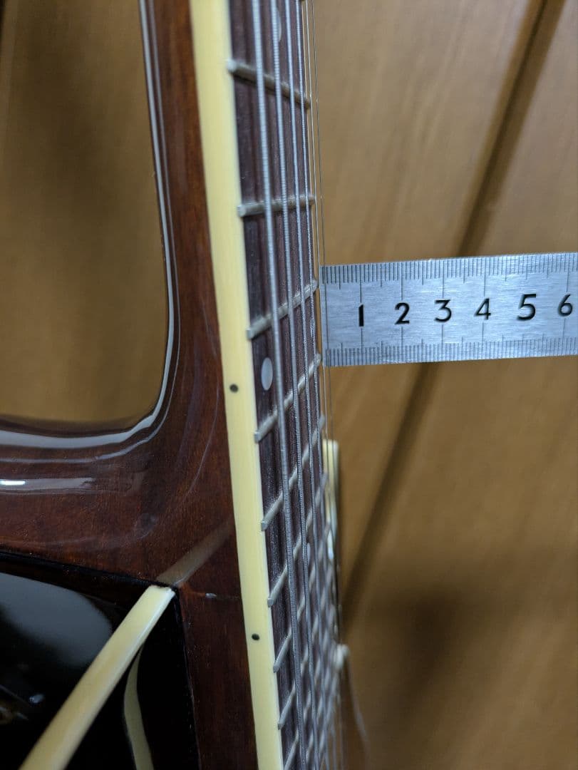 Loar LH-350 VS　Top単板フルアコ