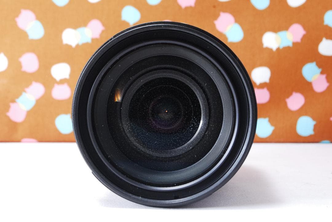 ✨美品✨ハイアマチュア機✨Nikon D100 レンズセット