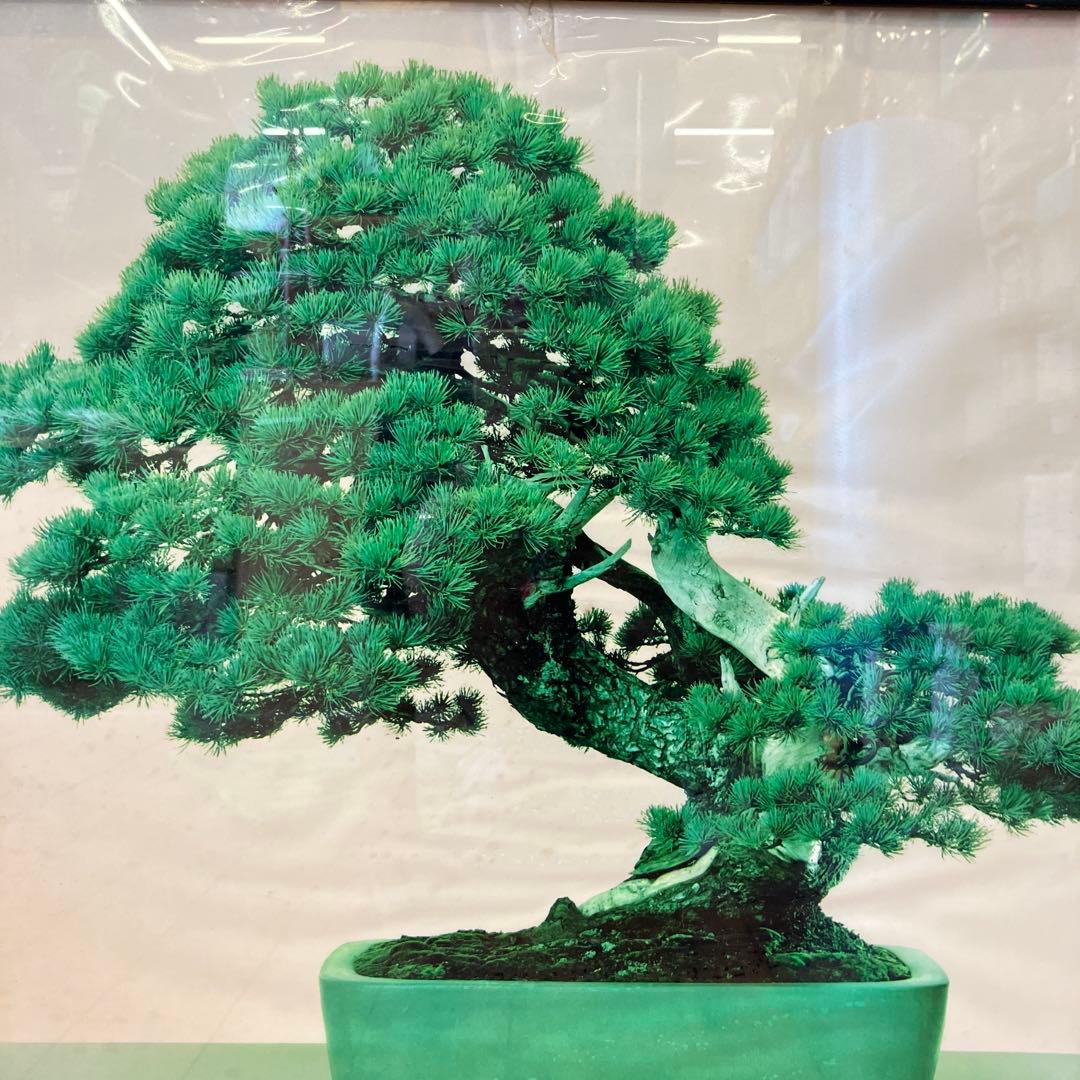 昭和レトロ アート 写真 盆栽 植木鉢 花 城 壁掛け 壁飾り 額装 額縁 額入