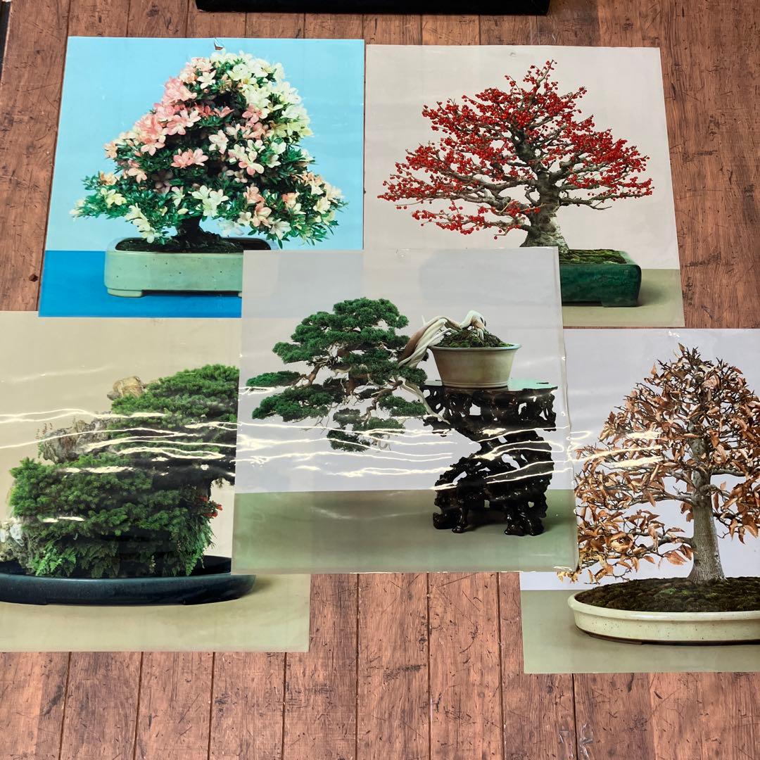 昭和レトロ アート 写真 盆栽 植木鉢 花 城 壁掛け 壁飾り 額装 額縁 額入