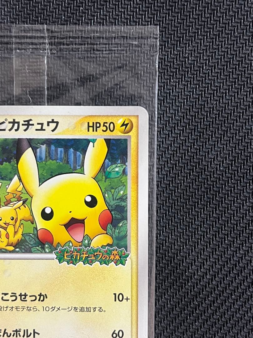 【未開封】ポケパークのピカチュウ PROMO プロモカード 043/PCG-P