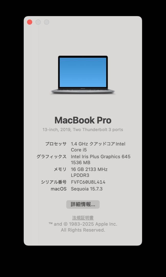MacBook Pro 13インチ 2019 / i5 / 16GB/256GB