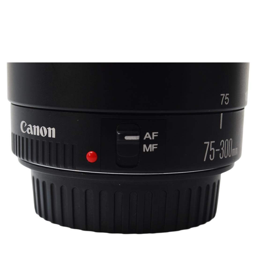 Canon EOS 40D ダブルレンズ 望遠300mm バック付
