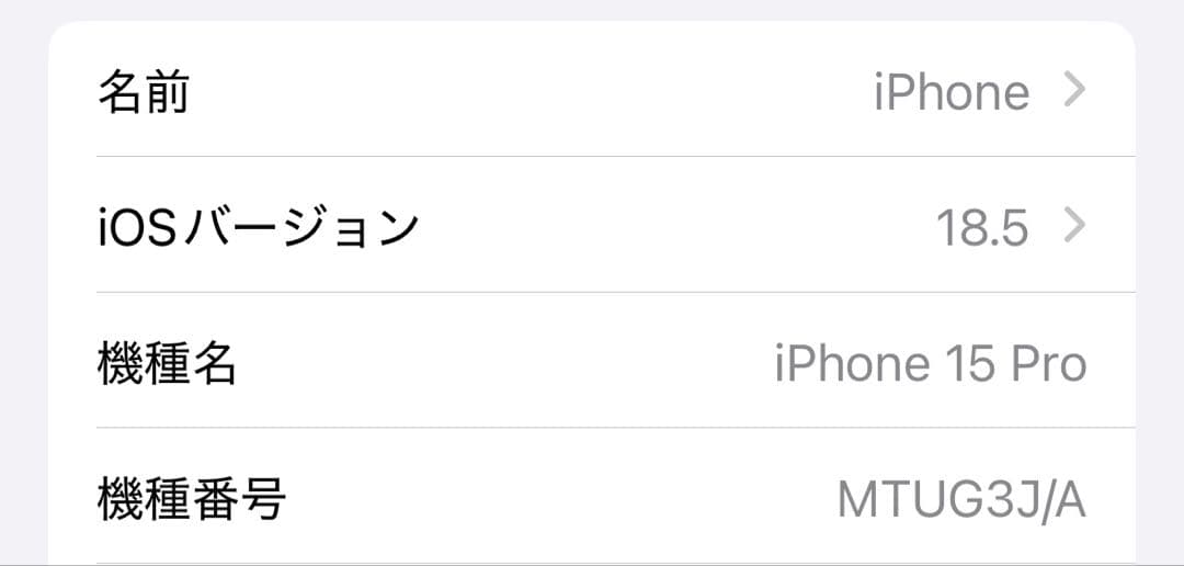 N*O様 Apple iPhone 15 Pro 256GB