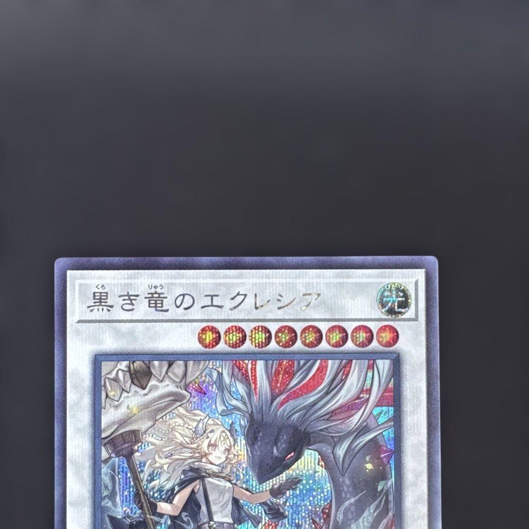 遊戯王　白き竜の落胤&黒き竜のエクレシアセット