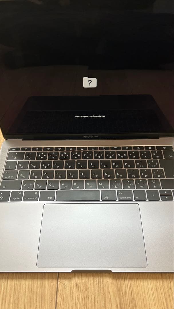 MacBook Pro（13㌅,2017, 3ポートx 2）256GB/16GB