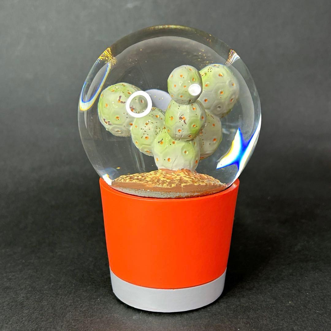 DULTON スノードーム　PLANTS WATER GLOBE 3点セット