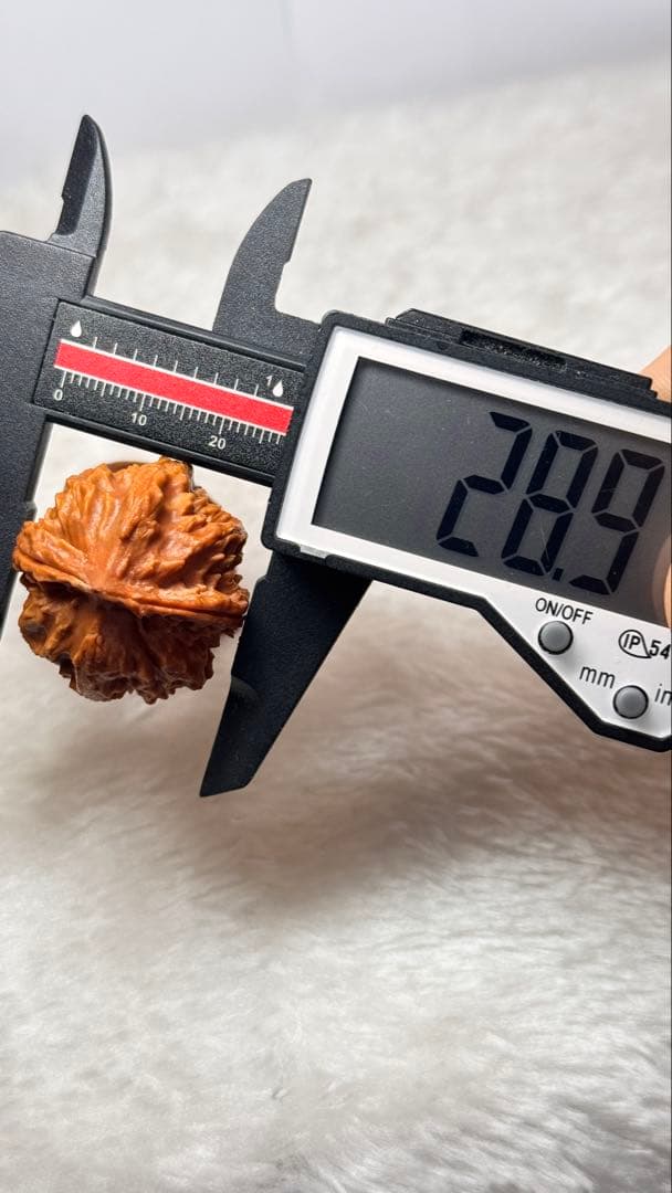 28.9极品秋子