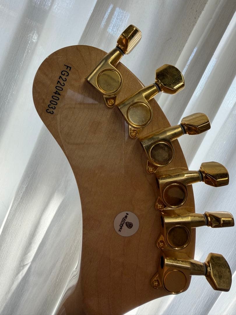 FERNANDES ZO-3 hideモデル PAINT-ZO24