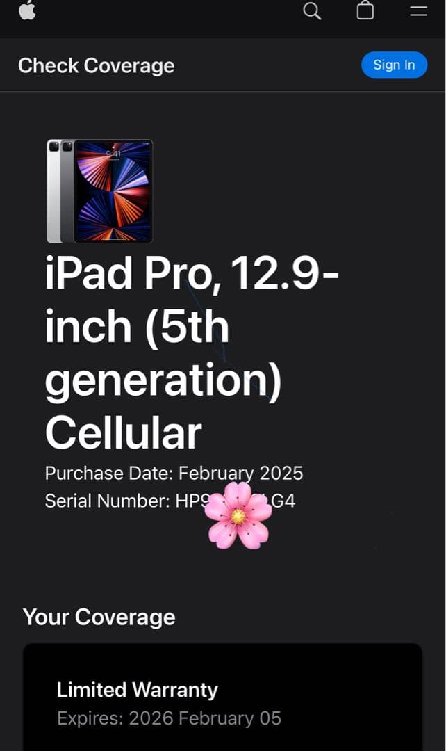 [美品] iPad Pro 12.9 第5世代 128GB セルラー シルバー
