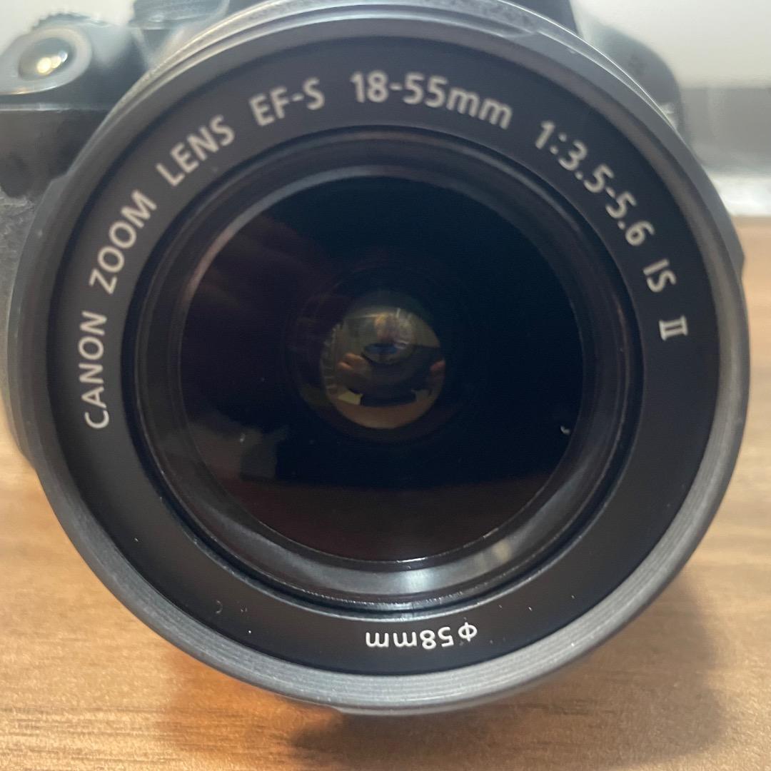 【初心者向け】Canon EOS Kiss X5 レンズキット