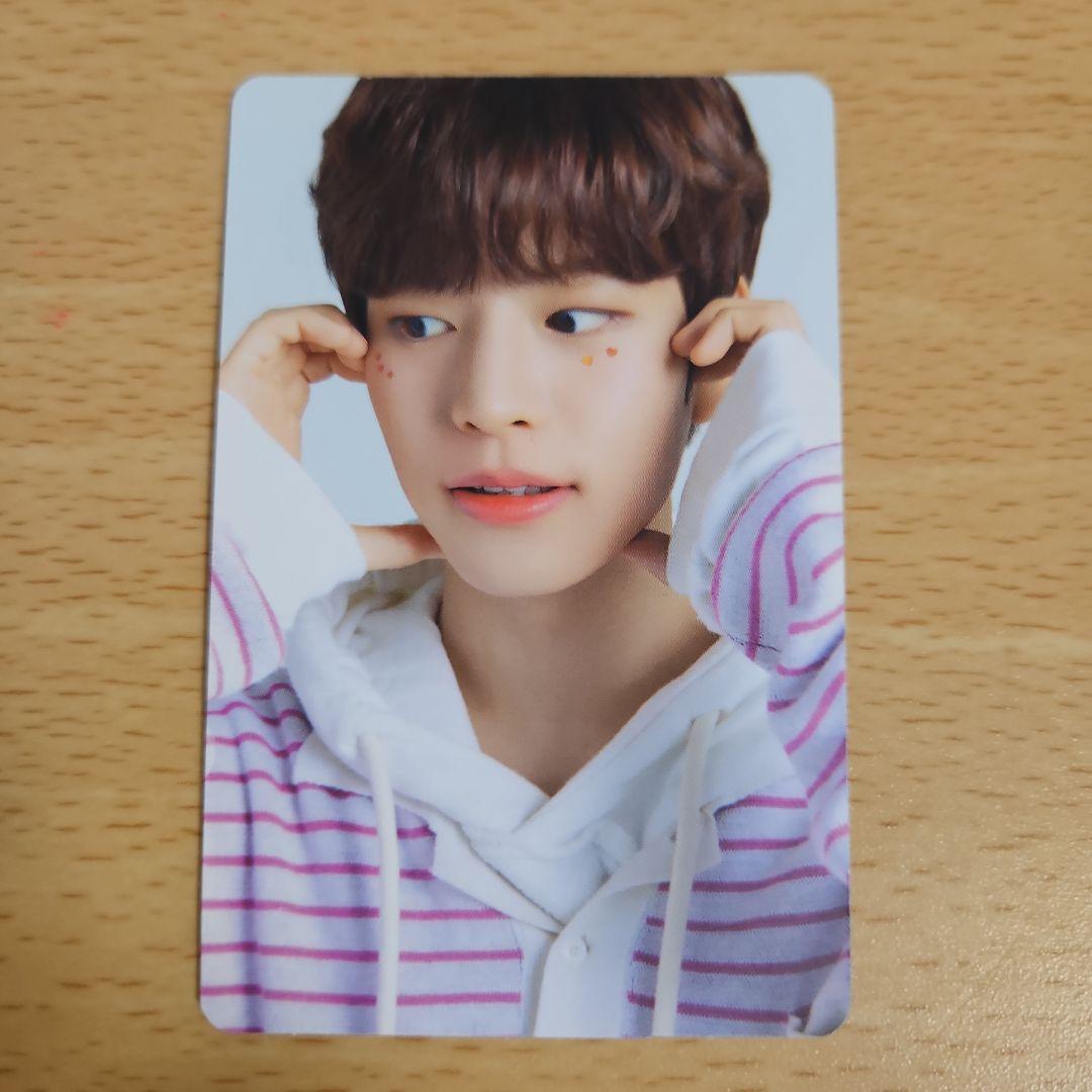 straykids POPUP SKZOOトートバックパピームファイル トレカ
