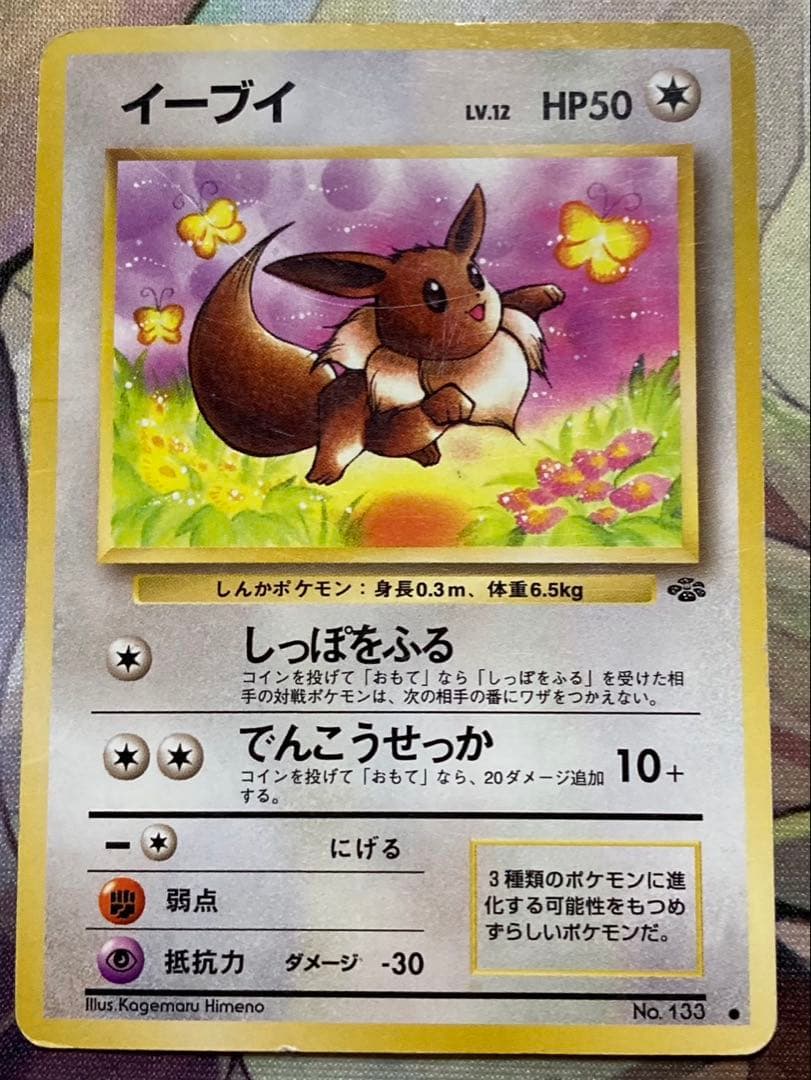 ポケカ　ピカチュウ　そらをとぶピカチュウ　なみのりピカチュウ　イーブイ　旧裏