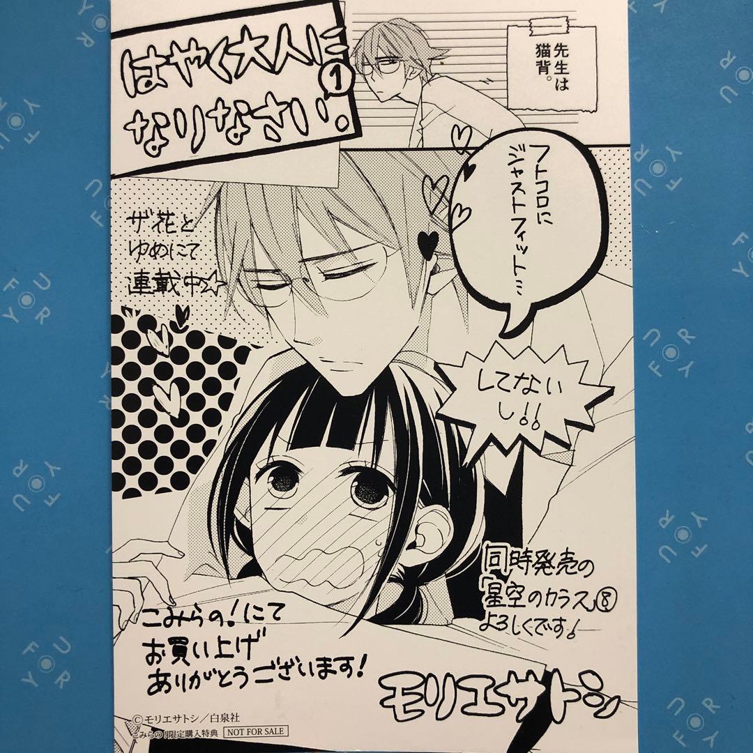 特典ペーパー　衛宮さんちの今日のごはん　春の包帯少女　ななゆ