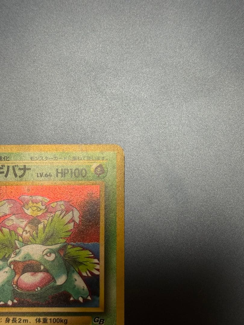 美品　旧裏　とりかえっこ　フシギバナ　カメックス　ポケモンカード