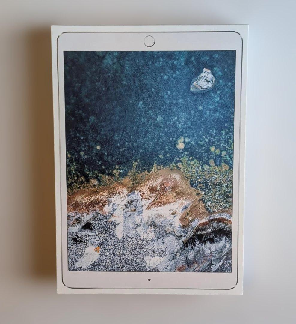 Apple iPad pro 10.5インチ　セルラー　docomo シルバー
