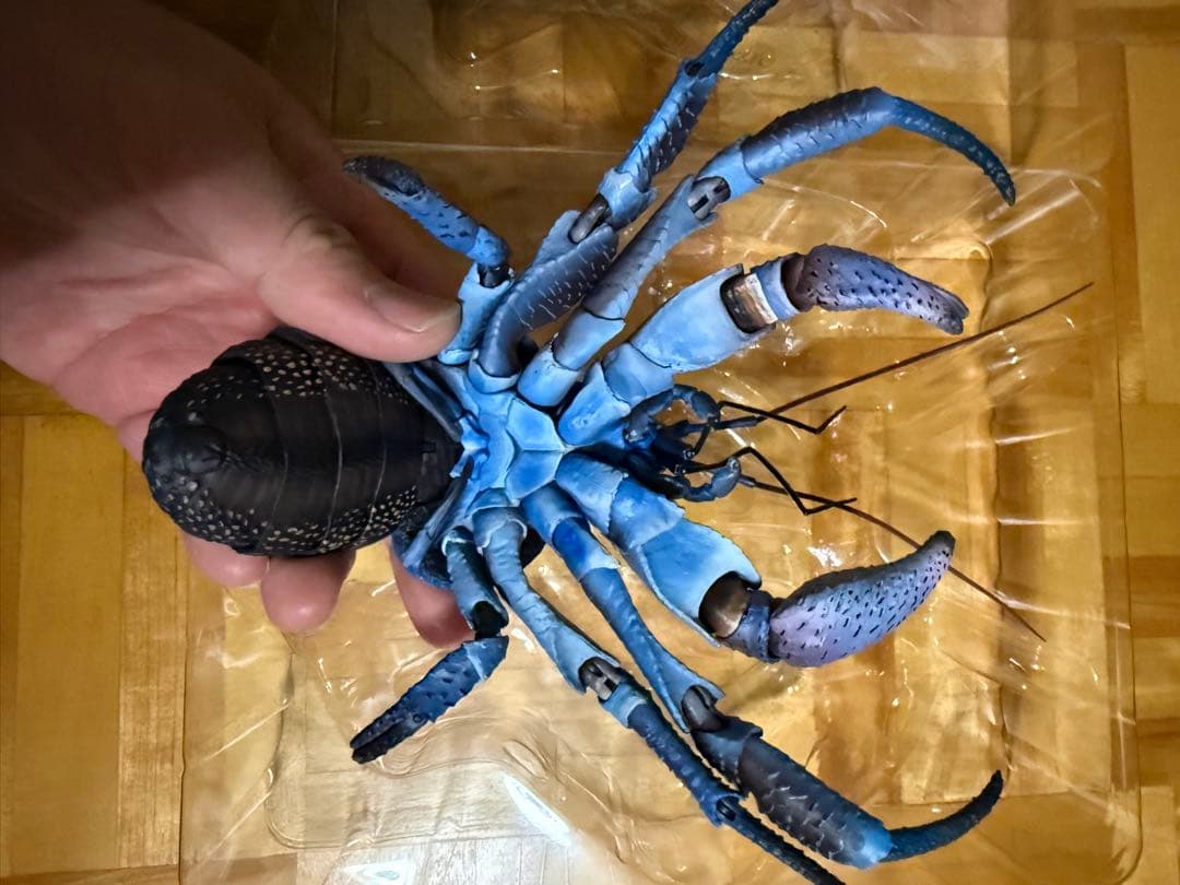 いきもの大図鑑プレミアム　ヤシガニ