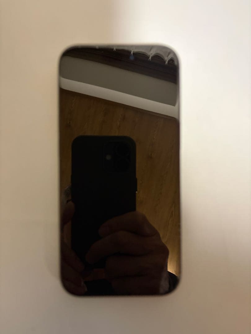 Apple iPhone 15 256GB 本体+箱