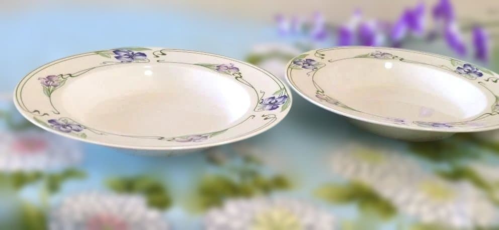 ビレロイ&ボッホ　レア品❗️Verona(ヴェローナ)　パスタ皿　未使用美品✨️