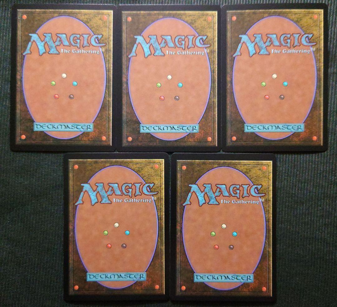 mtg 稀少個体 スパイダーマン レイズドFOIL 基本土地 ５枚セット
