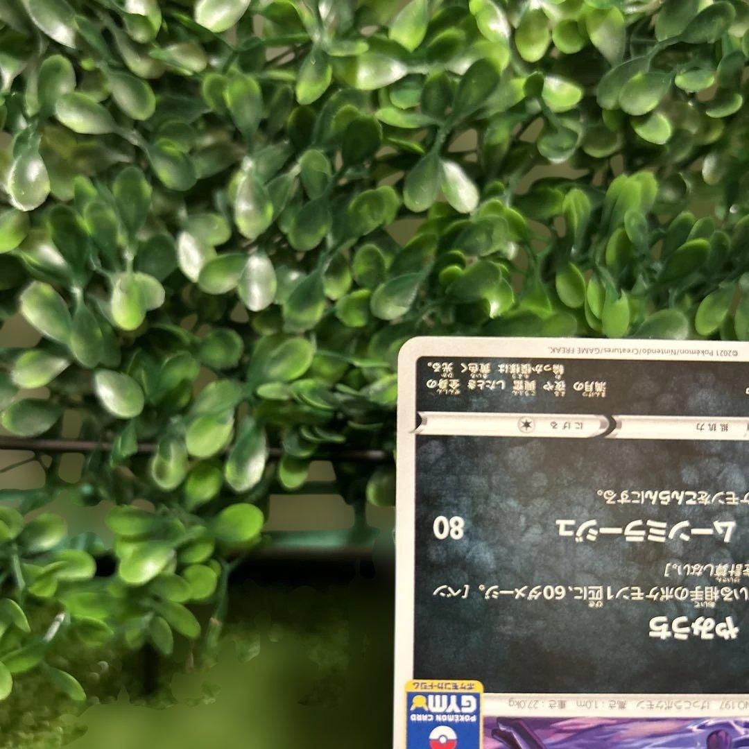 ブラッキー　ジムプロモ