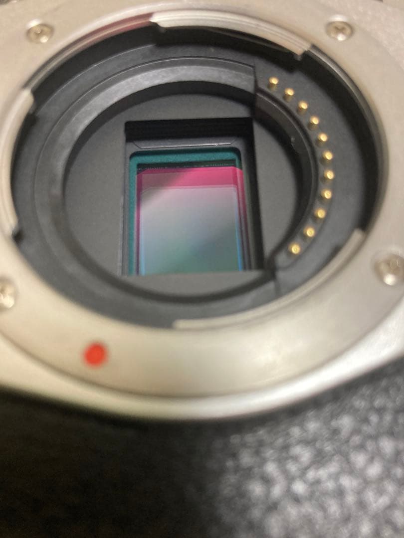 OLYMPUS OM-D E-M10 Mark II おまけ付き