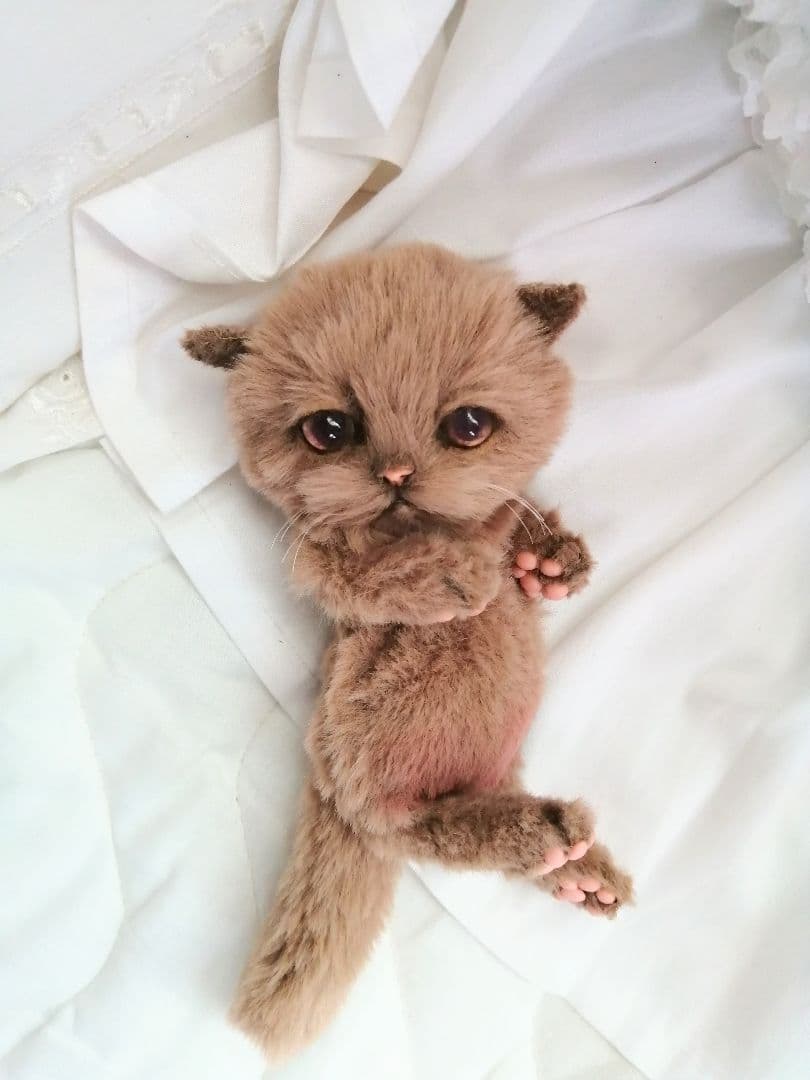 お腹ぽっこり♡ベビにゃん♡モカ色の子猫ちゃん♡アートドール♡ぬいぐるみ♡