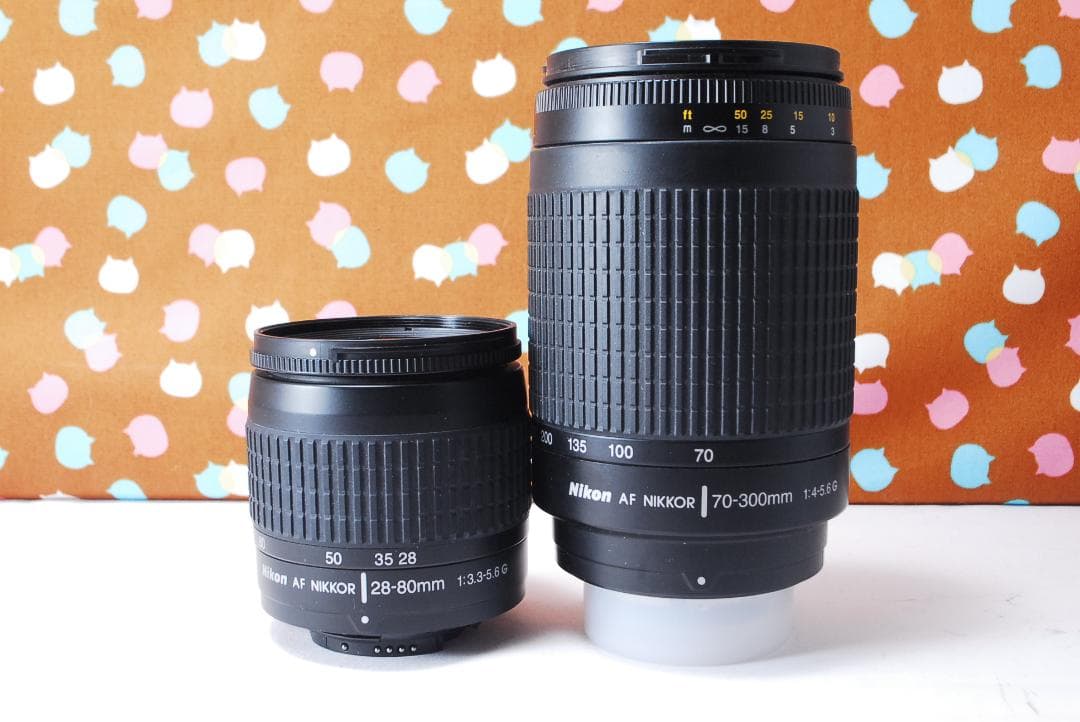 ✨ショット数6395回✨初心者オススメ✨Nikon D80 ダブルレンズセット