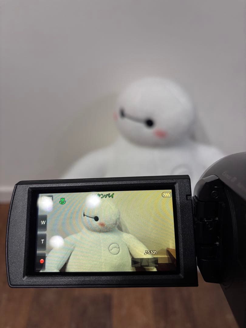 ソニー ハンディーカム HDR-CX675美品　値下げ❗️