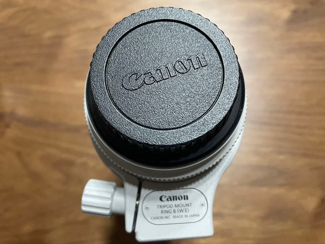 Canon EF70-200mm F2.8L IS Ⅲ USM
