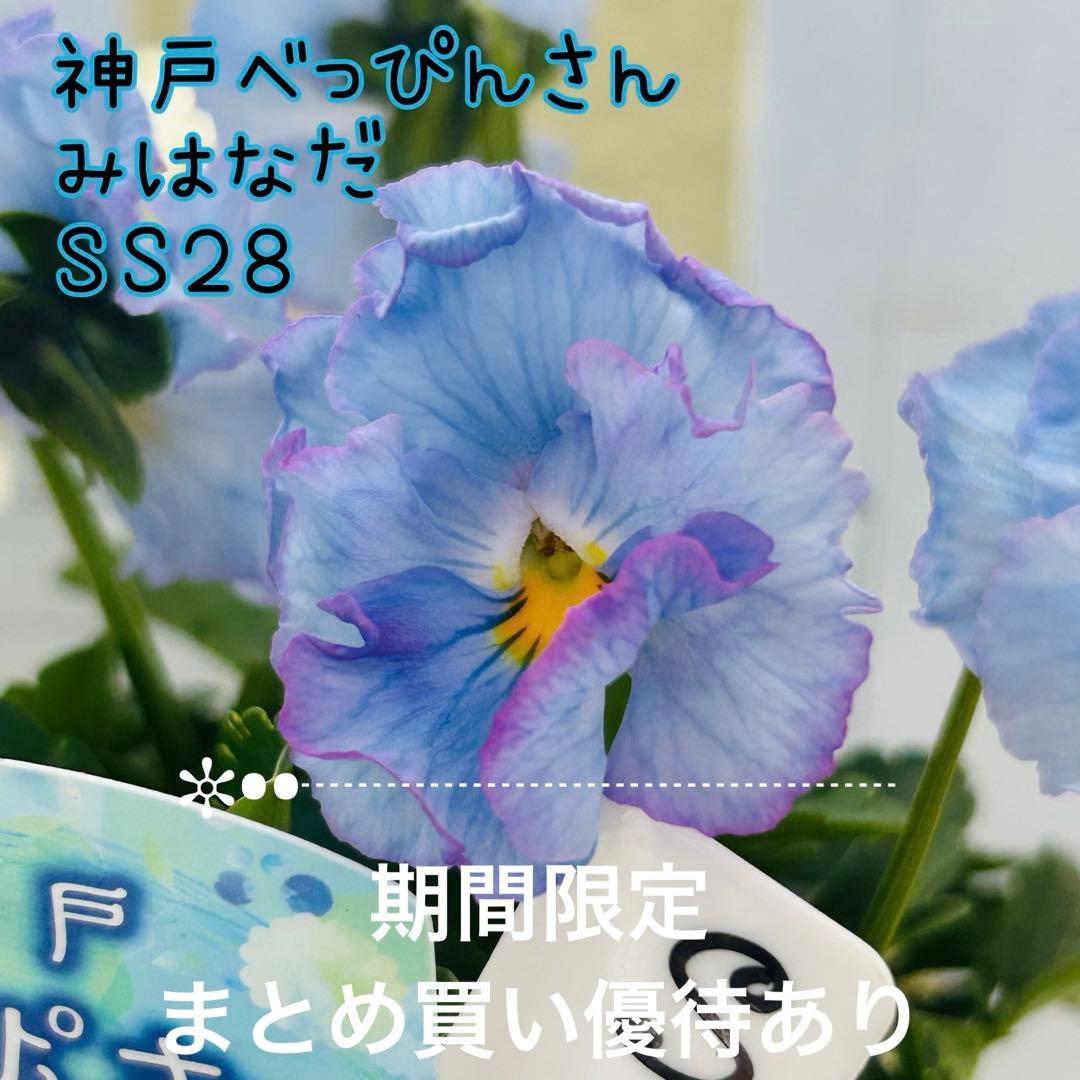 user_7b90df9b様 リクエスト 5点 まとめ商品