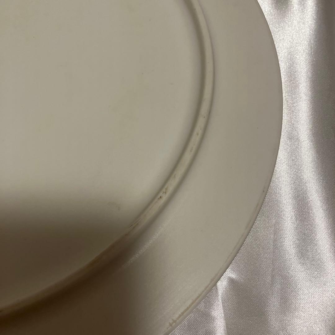 ルザーン　プレート　Luzerne 2枚セット
