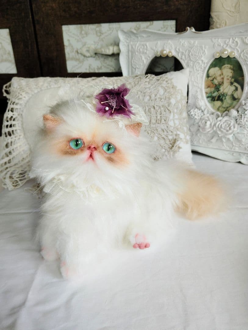 エキゾチックロングヘア♡綺麗な子猫ちゃん♡アートドール♡ぬいぐるみ♡