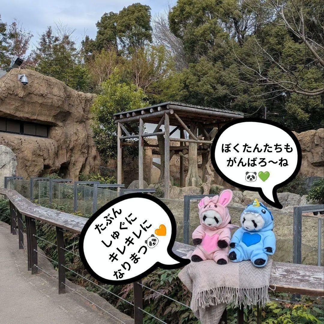 【シャンシャン様オーダー】だっこシャオレイ♡怪獣うさぎ変身コスチュームセット