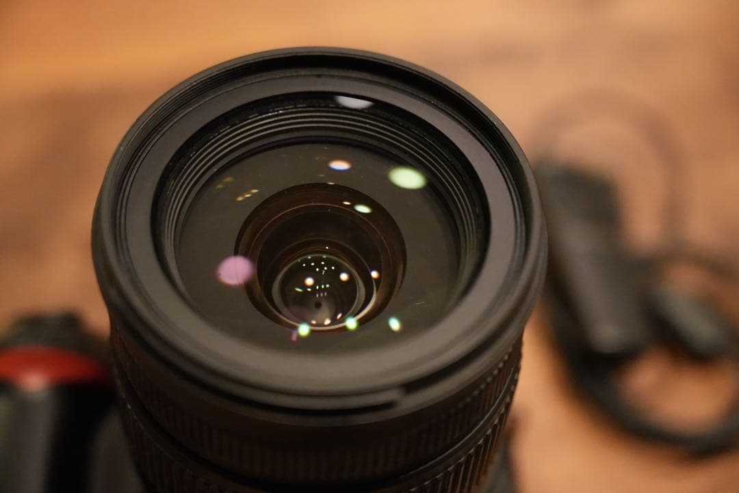 Nikon D90 とSigma 17-70mm レンズ（ジャンク）