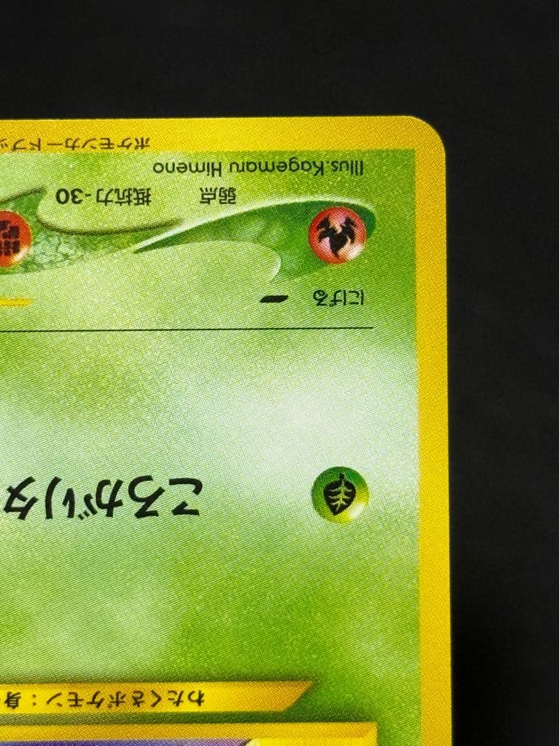 ハネッコ ポケモンカードになったワケ 5巻」 旧裏 おまけカード プロモカード