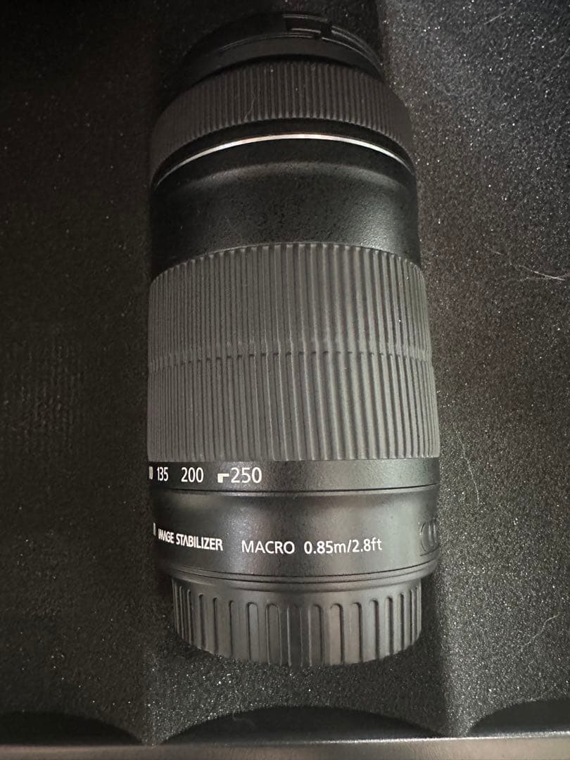 動作確認のみ　未使用　EF-S55-250mm F4-5.6 IS STM