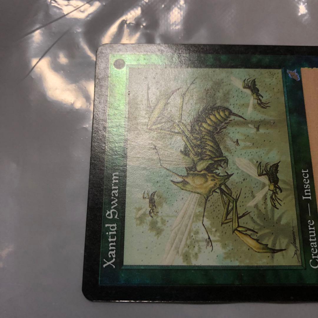 mtg foil ザンティッドの大群 4枚 スカージ Xantid Swarm