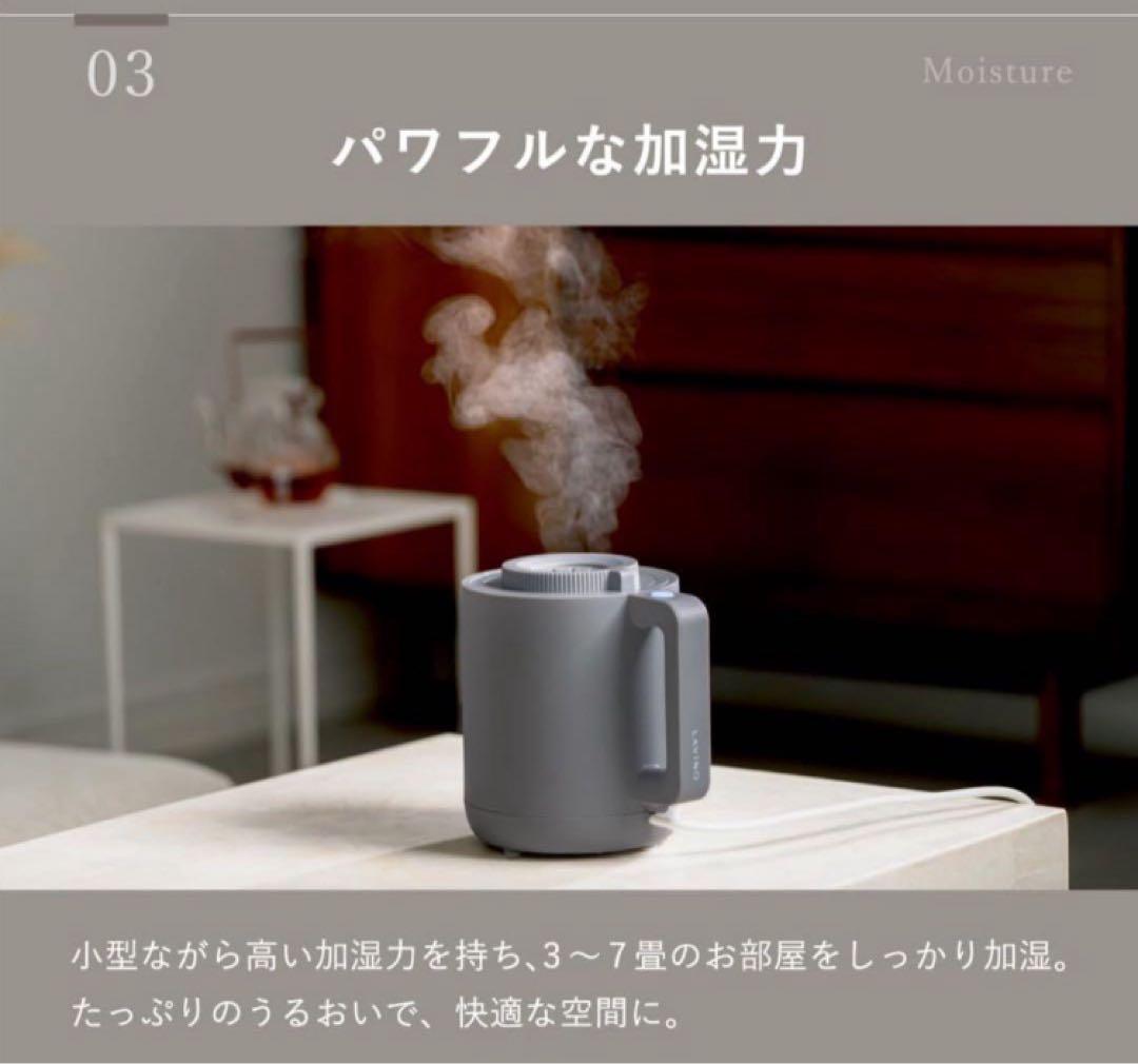 LAViNO (ラビーノ) ホットモイスト スチーム式加湿器