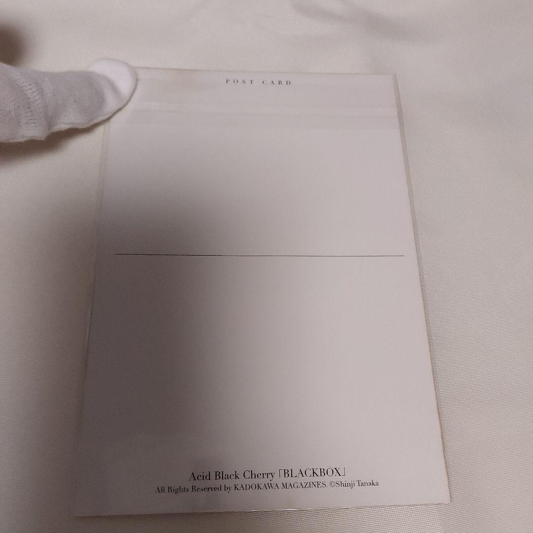 Acid Black Cherry　BLACKBOXポストカード付き