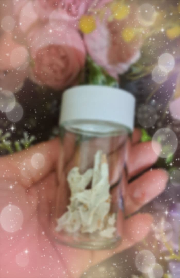 ミナポポページ♥️チワワ　等身大　ぬいぐるみ　オーダー　体重　カズコオガワ