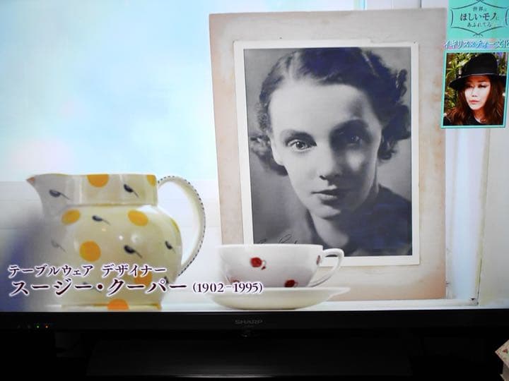 スージークーパー＂ケビンフランシス社フィギュリング＂シリアル227