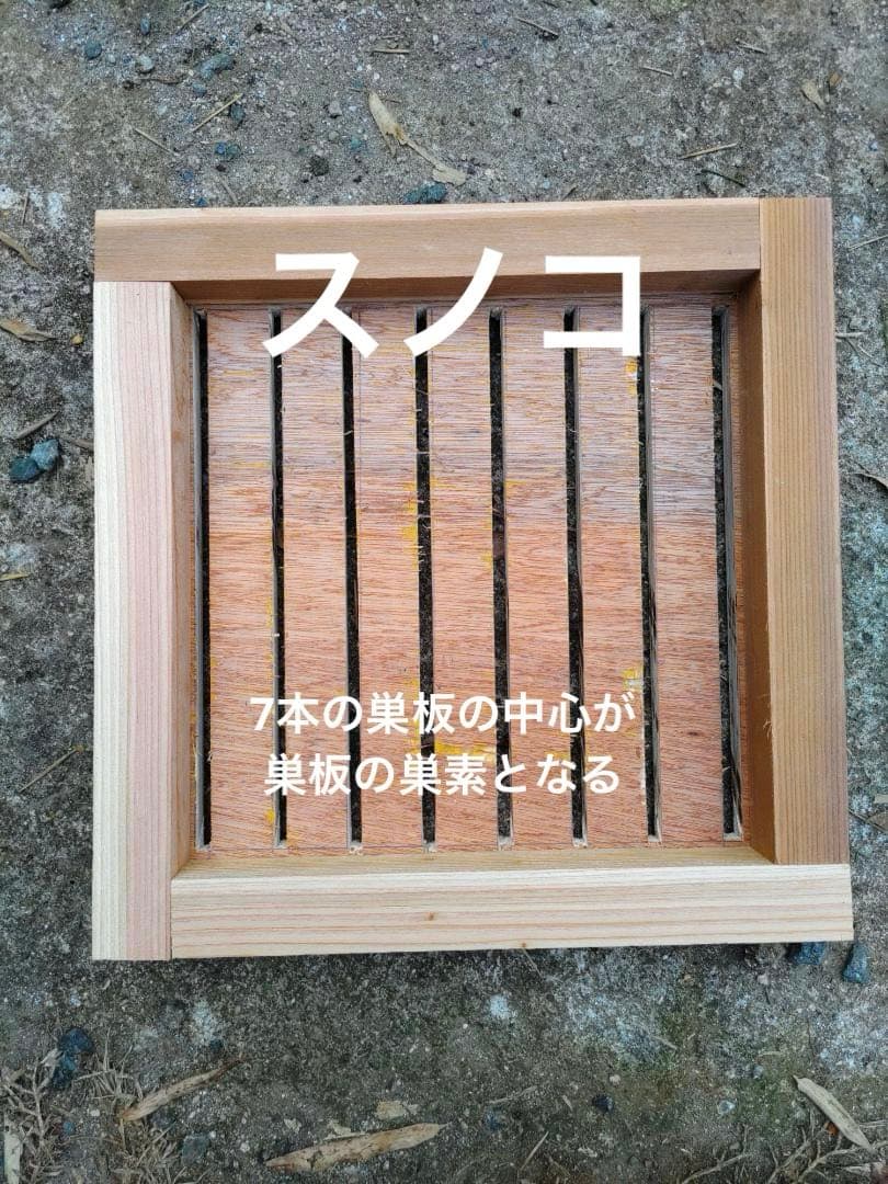 ニホンミツバチ　重箱式巣箱4段 スライド底板 付巣門台座　スノコ付き　セット割引