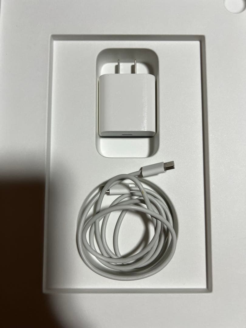 iPad本体 iPad Air