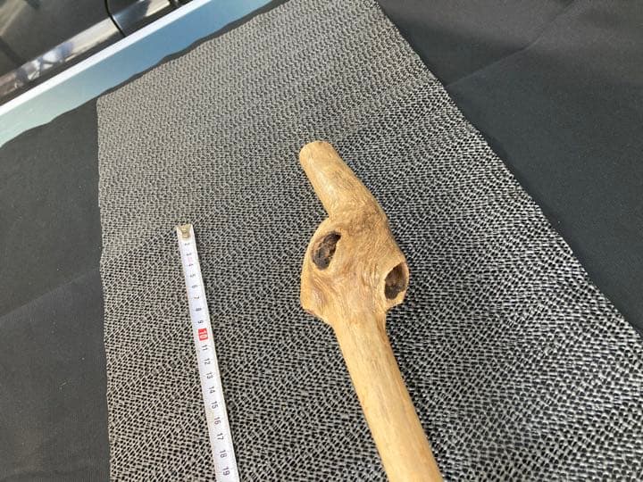流木　仙人の杖