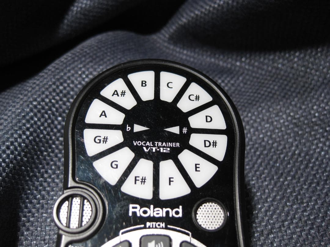 ローランド Roland ボーカルトレーナー VT-12-BK 動作良好